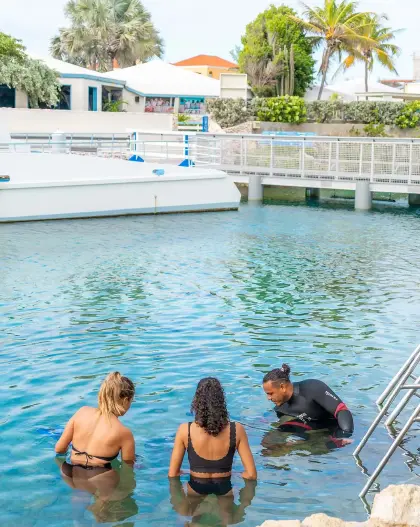 /book-tours/Dolphin-en-Sea-Aquarium/Animal_Encounters_17.jpg